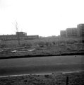 Delfzijl Noord nieuwbouw 1967 2